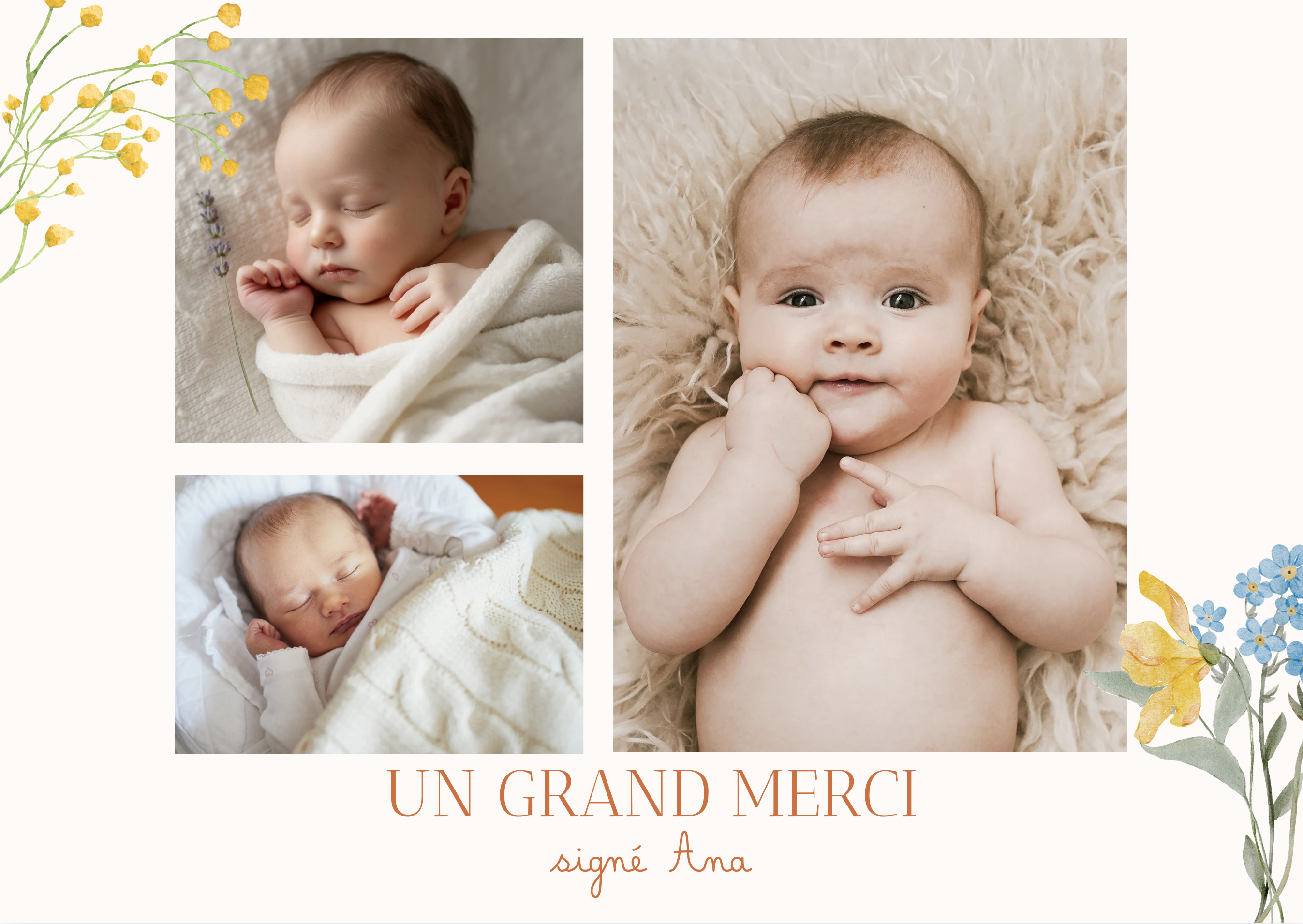Remerciement verso